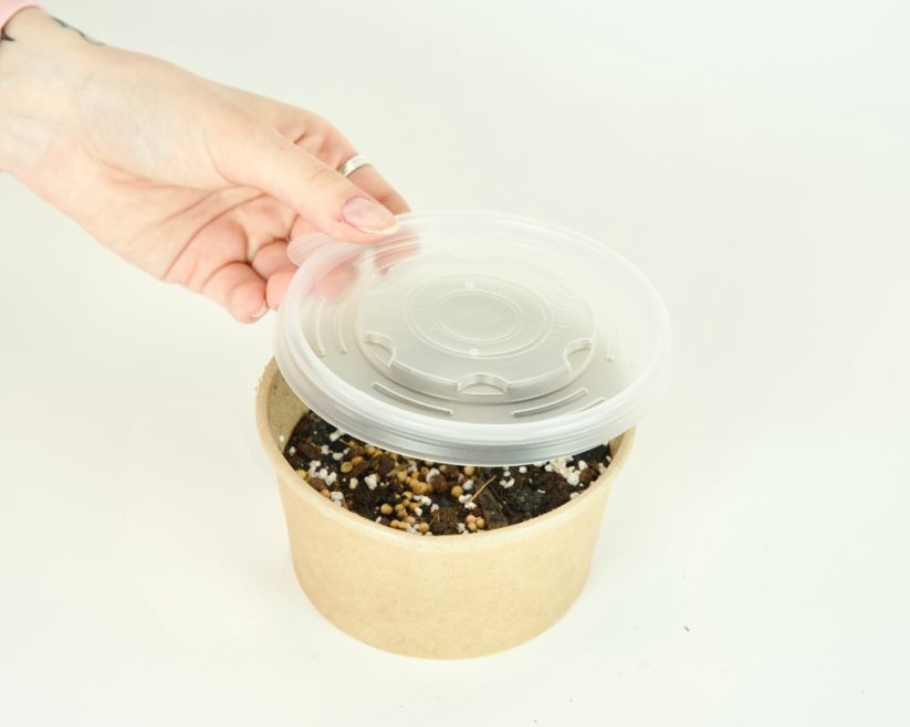 Microgreens sada - Roketa setá 4g