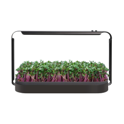 Urban LED 16W Mini grow kit na microgreens 6400K