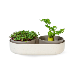 Klíčící miska Plastia Microgreens+Regrow