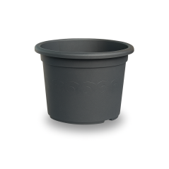 Obal Narcis - antracit