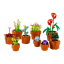 LEGO® Icons Miniaturní rostliny