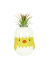 Tillandisia Ionantha v kuřátku - Barva: Zelená