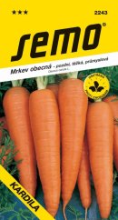 Mrkev - Kardila průmyslová pozdní 3g