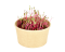 Microgreens sada - Řepa salátová 5g