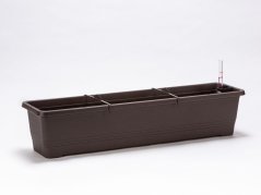Truhlík samozavlažovací Bergamot - čokoládový 80 cm