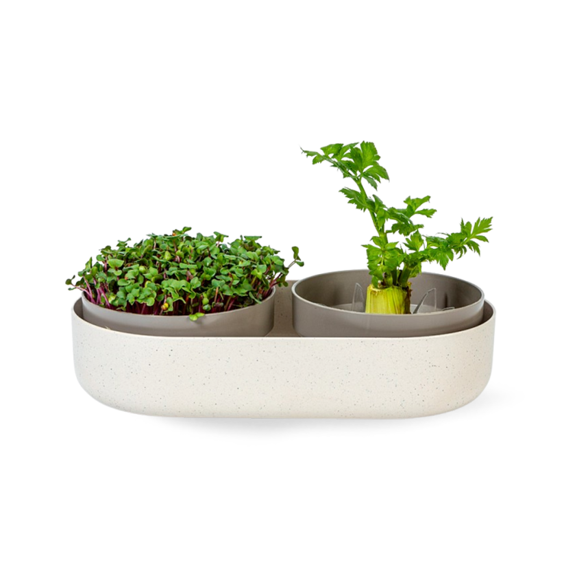 Klíčící miska Plastia Microgreens+Regrow