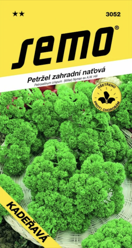 Petržel naťová - Kadeřavá 4g