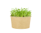 Microgreens sada - Řeřicha setá 5g