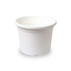 Obal Narcis - bílý