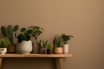Barva roku: Mocha Mousse ve vašem interiéru