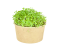 Microgreens sada - Roketa setá 4g