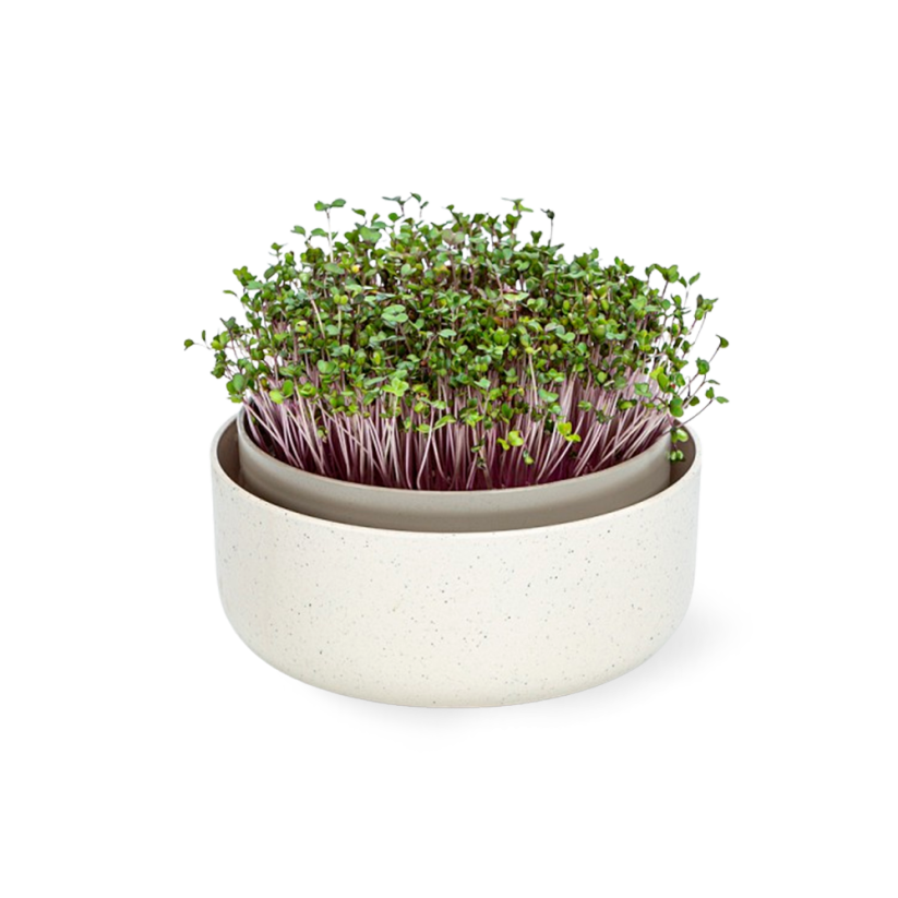 Klíčící miska Plastia microgreens