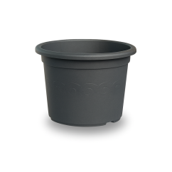 Obal Narcis - antracit