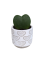 Hoya Kerrii - srdíčkový květináč - bílý