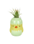 Tillandisia Ionantha v kuřátku - Barva: Zelená